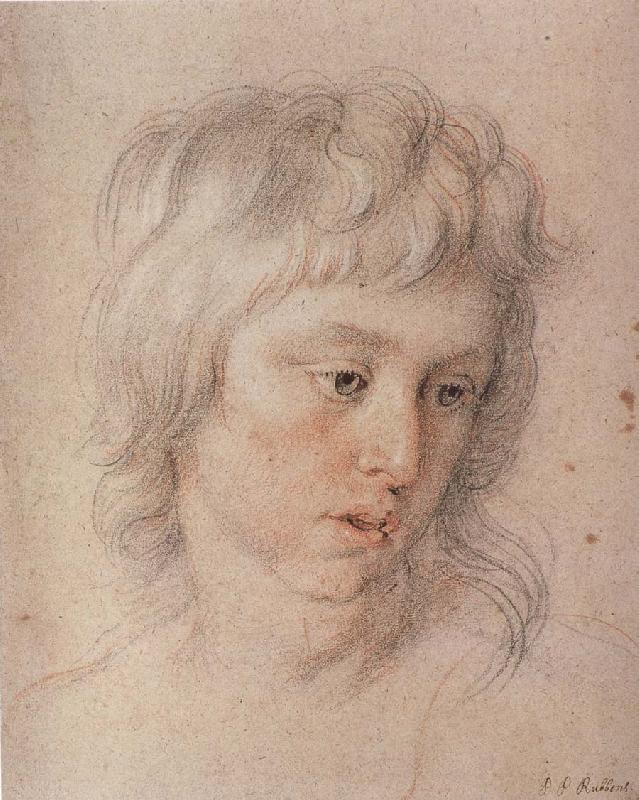 Peter Paul Rubens Baladi-s son Sweden oil painting art